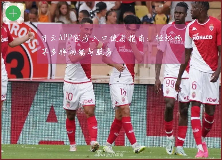 开云APP官方入口使用指南，轻松畅享多样功能与服务