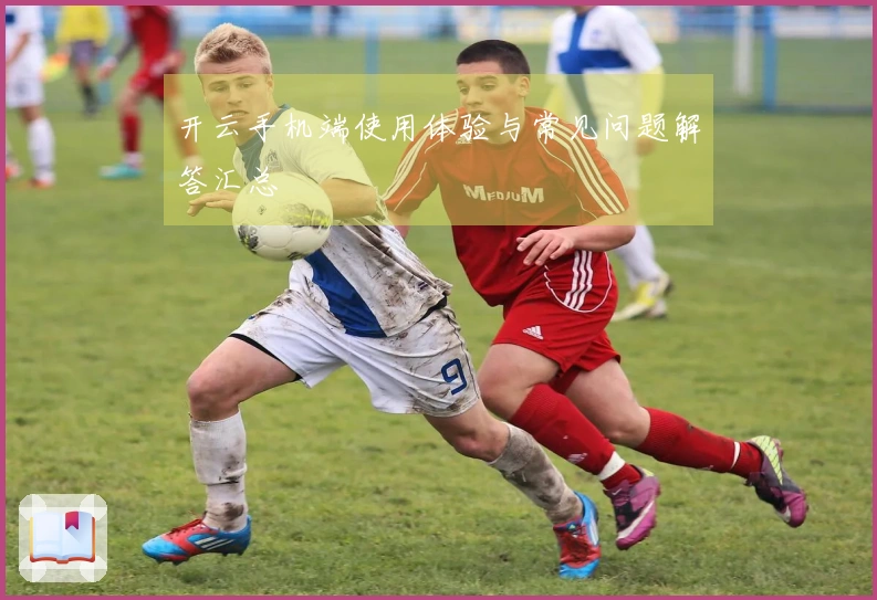 开云手机端使用体验与常见问题解答汇总